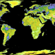 Illustration for article titled The Most Detailed 3D Map of Earth Yet